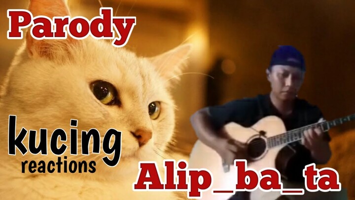 ALIP BA TA REAKSI KUCING OYEN (PARODY # 1) 🙀 FUNNY CATS