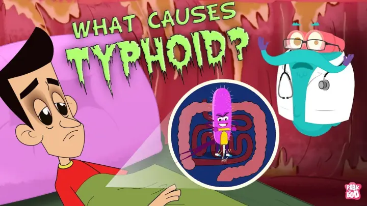 What Causes Typhoid? | The Dr. Binocs Show | Best Learning Videos For Kids | Peekaboo Kidz
