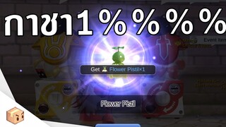 สุ่มกาชาตามหา 1% ที่หายไป !!| Ragnarok M Eternal love