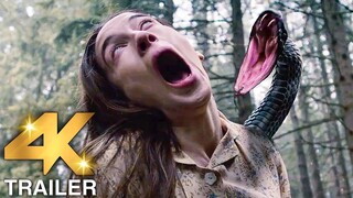 NEW MOVIE TRAILERS 2024 (Horror) | 4K ULTRA HD