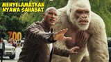 Kisah Persahabatan Manusia Dengan Gorila Yang Menyelamatkan Hidupnya | Alur Cerita Film