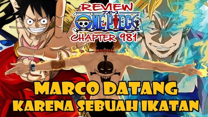 MARCO DATANG KE WANOKUNI KARENA IKATAN ACE DAN LUFFY | (ONE PIECE) TERBARU