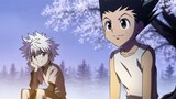「AMV」Hunter x Hunter - Somewhere Only We Know