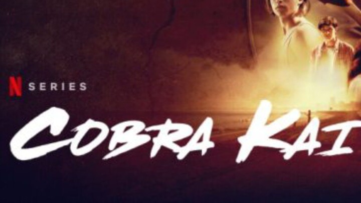 Cobra Kai Season 3 Episode 9 In Hindi Dub