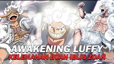 Ini Kelemahan Awakening Zoan! - One Piece