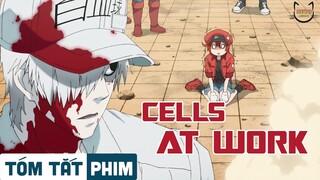 Tóm tắt phim: CELLS AT WORK | MEOW REVIEW