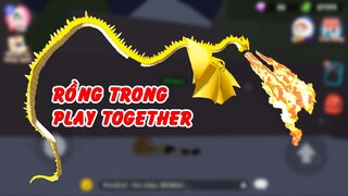 Rồng hiện thế trong Play Together I GHTG TRUYỆN