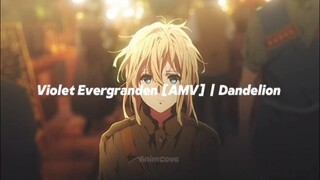 Violet Evergranden [AMV] | Dandelion