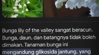 definisi indah tapi beracun