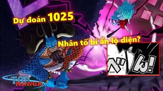 [Dự đoán OP 1025]. Sân khấu bùng nổ, Nhân tố bí ẩn lộ diện?