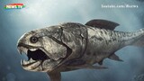 Cá Dunkleosteus_ _Kẻ hủy diệt_ của kỷ Devon #Otaku never die