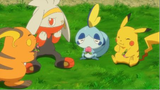 Sobble CUTE MOMEMTS pokemon