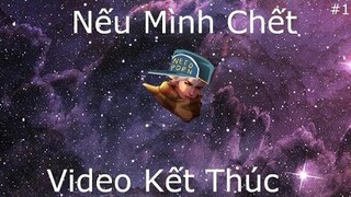 Liên Quân NHƯNG Nếu Mình Chết, Video Kết Thúc