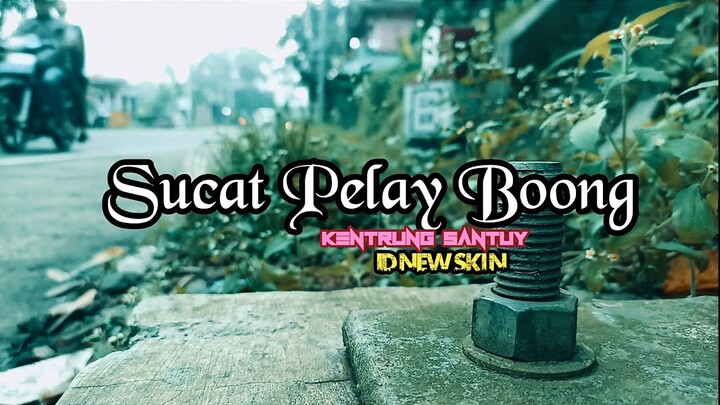 DJ SUCAT PELAY BOONG (LAGU THAILAND VIRAL TIKTOK) versi SLOW BY ID NEW SKIN 🇹🇭