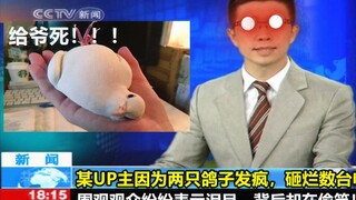 这鸽子就可笑得离谱！不过失败10000次后我终于战胜它们了！