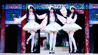 有野生小僵（帕）尸（鲁）出没~快抓住她！【生日作】