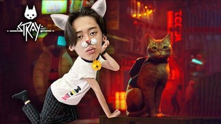 Meo meo meo rửa mặt như hề (Kenjumboy - Gaming day)