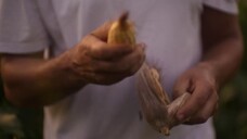 Động Vật Ăn Tạp - Omnivore EP 8 [Sub Việt]