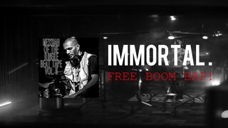 Immortal FREE Boom Bap Beat (Medmessiah)