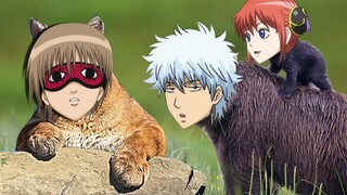 Gintama versi hewan akan memakanmu!