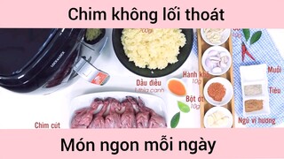 Làm chim không lối thoát