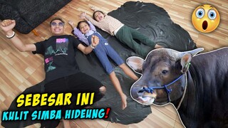 KENANG-KENANGAN KULIT SIMBA SAPI QURBAN KITA!! ALUNA DAN AMANDA SENENG BANGET!!