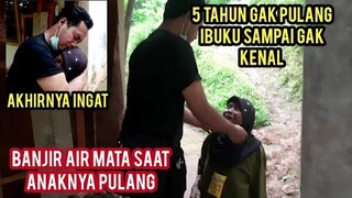 5 Tahun Gak Bisa Pulang Kampung Demi Mengurus Kucing Jalanan Akhirnya Bisa Pulang Kampung..!