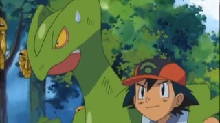 [Pokémon] 8 Pokémon that love to evolve together