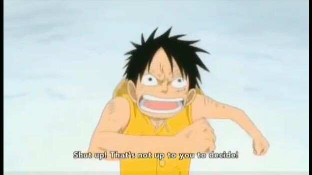 luffy and whitebeard