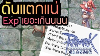 ดันเรดิกแตกแน่ แค่เห็น 1 สิ่งนี้ | Ragnarok Classic(ROC)