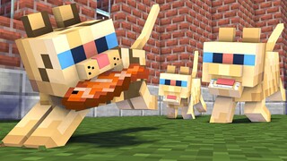 Monster School : THE SMART CAT - Minecraft Animation