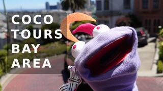Muppet Coco Tours Bay Area 「 Kiryu Coco 」