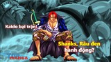 Kaido bại trận! Shanks, Râu đen và Dragon liệu có hành động?