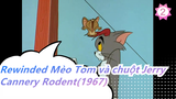Mèo Tom và chuột Jerry |Chuyện gì xảy ra khi tua ngược lại? Cannery Rodent(1967)_2
