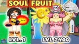 Noob to Max Using Mythical Soul Fruit in Bloxfruits