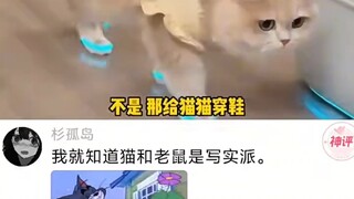 我就知道猫和老鼠是写实派