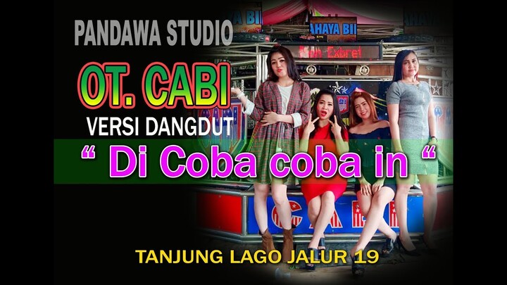 " DI COBA COBA IN "  OT. CABI  LIVE  JALUR 19 TANJUNG LAGO