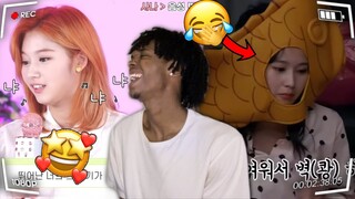 TWICE Sana - Funny & Cute Moments REACTION