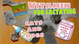 ENMALAC VITAMIN PANG PADAMI NG GATAS ni MOMMY CAT AND DOG #enmalac #lactating #catsmilk