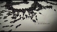 Decameron: Mười ngày EP 1 [Sub Việt]