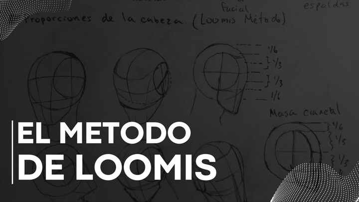 Método Loomis | El Arte de la Precisión - Parte 1