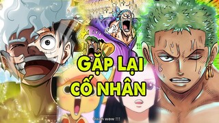 Băng Mũ Rơm Gặp Lại Cố Nhân [ One Piece Chap 1063 Dự Đoán ]