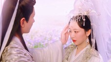 Cheng Yi สนใจ Yang Zi มากจนเขาจัดให้ทีมงานเป็นพิธีกร ไม่สำคัญว่าเขาจะจูบเธอที่ริมฝีปากกี่ครั้ง