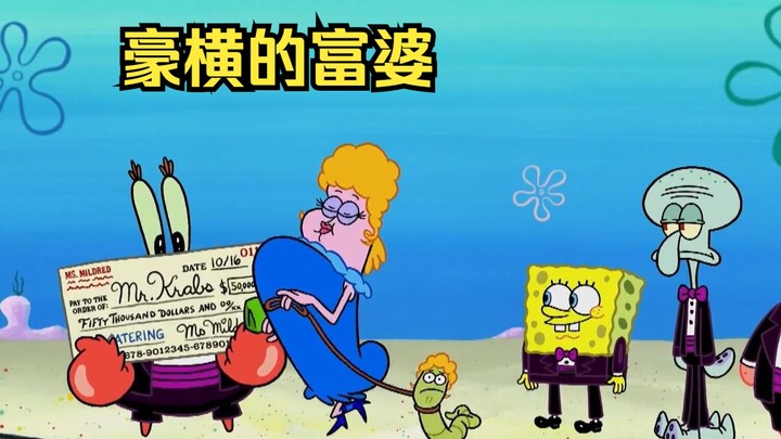 海底最豪横的富婆，随手甩出天价支票