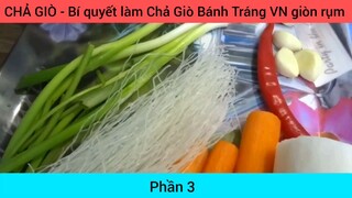 CHẢ GIÒ - Bí quyết làm Chả Giò Bánh Tráng VN giòn rụm #3