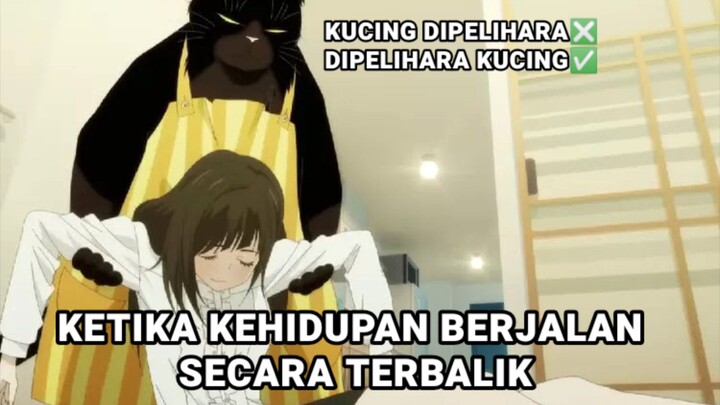 MAJIKAN YANG BERTUKAR PROFESI DENGAN SANG PEMILIK😋🤝 | Rekomendasi anime | Dekiru Neko wa Kyou..