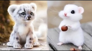 Cute baby animals Videos Compilation cute moment of the animals #17 Cutest Animals 2023