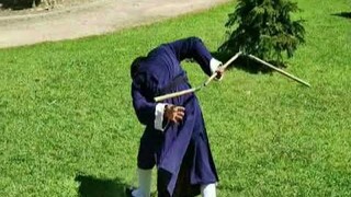 Shaolin Kung Fu 3 Sections  Staff  三截棍 San Jie Gun SHIDEFENG