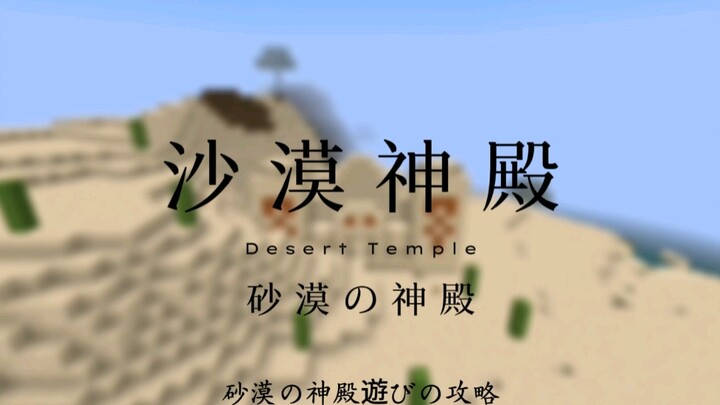 "Desert Temple Tour Guide"