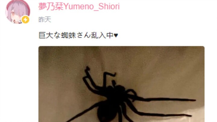 【夢乃栞】面对拳头大的蜘蛛也不怕的大姐